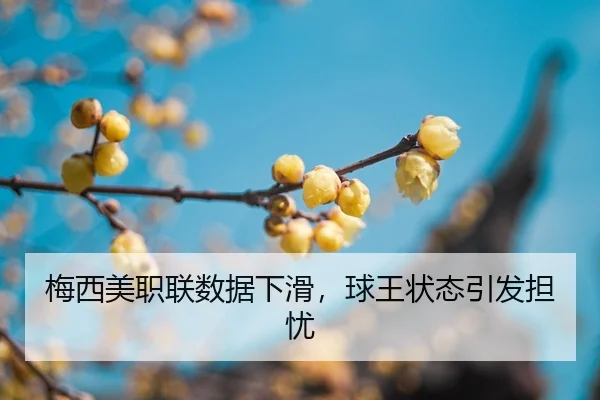mei-xi-mei-zhi-lian-shu-ju-xia-hua-qiu-wang-zhuang-tai-yin-fa-dan-you-2-374.jpg