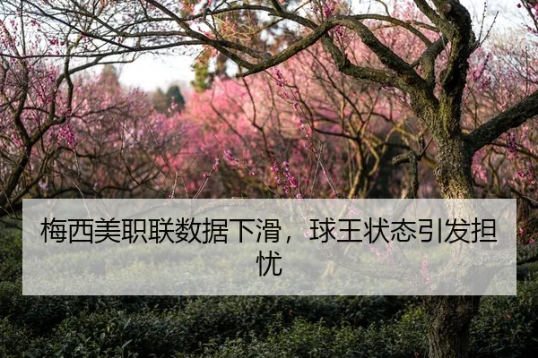 梅西美职联数据下滑，球王状态引发担忧