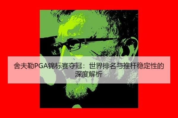 she-fu-lei-jin-biao-sai-duo-guan-shi-jie-pai-ming-yu-tui-gan-wen-ding-xing-de-shen-du-jie-xi-2-368.jpg