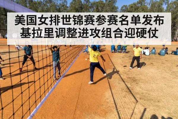 volleyball match court