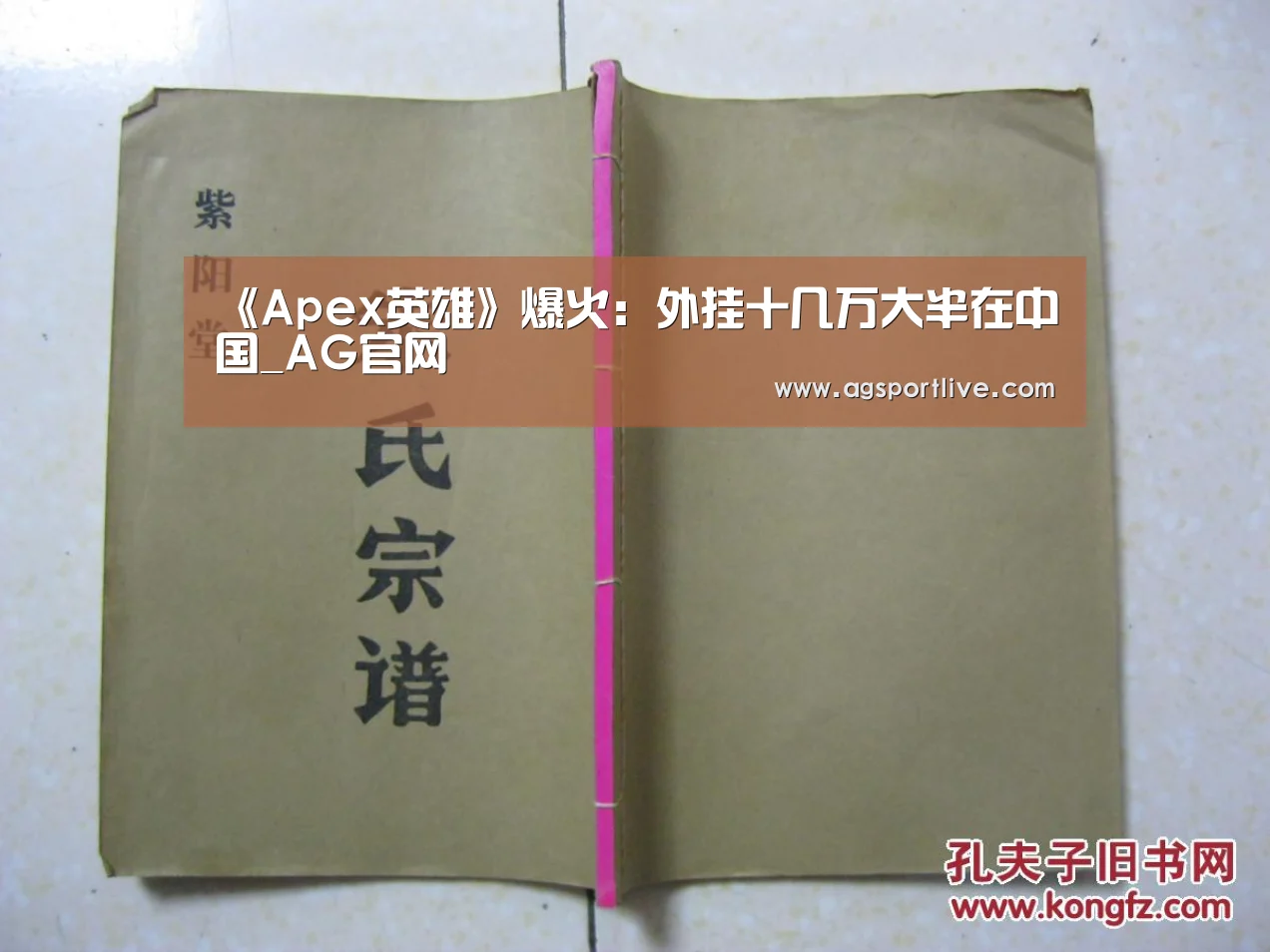 AG入口