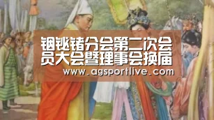 铟铋锗分会第二次会员大会暨理事会换届会议召开【AG入口】(图2) AG真人