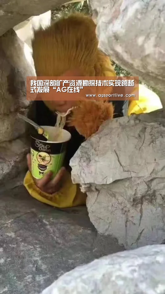 AG在线